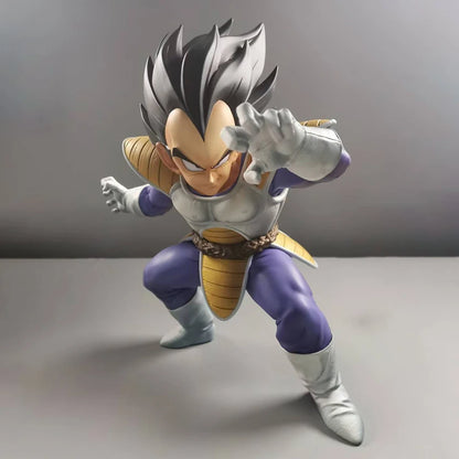 VEGETA 21CM BOX